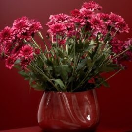 Centro de Mesa Alto Grande de cerâmica artesanal da Esmo, Borgonha utilizado como vaso com um arranjo volumoso de flores rosas, destacando a presença da peça contra um fundo escuro.